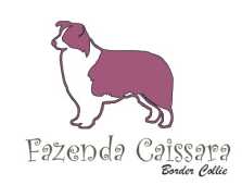 Canil Fazenda Caissara